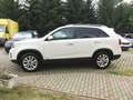 Kia Sorento 2.2 CRDi AWD Weiß - thumbnail 7