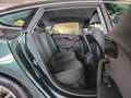 Audi A5 Sportback 2.0 TFSI "Nussbaumwurzel" Grün - thumbnail 12