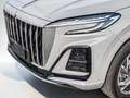 Hongqi Sonstige 1.5 T 2wd Grau - thumbnail 4