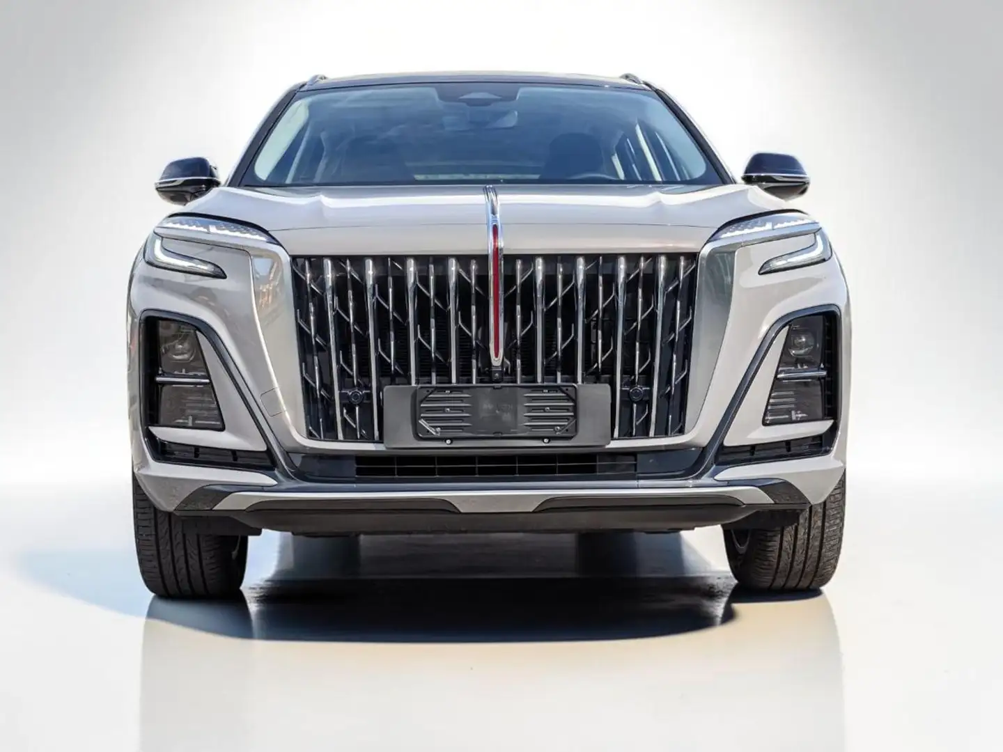 Hongqi Sonstige 1.5 T 2wd Grau - 2