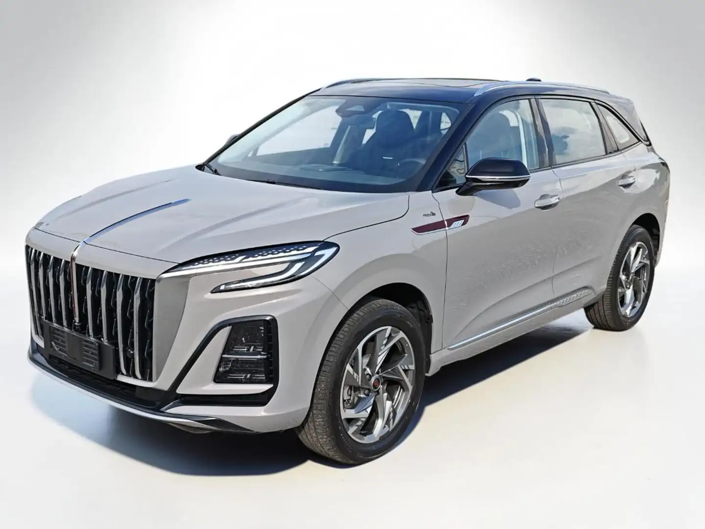 Hongqi Sonstige 1.5 T 2wd Grau - 1