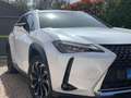 Lexus UX 200 250h 2.0 Premium 4WD cvt my20 Beyaz - thumbnail 10