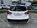 Suzuki S-Cross 1.6 DDiS Start&Stop Cool Weiß - thumbnail 6