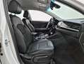 Kia Niro 1.6 HEV Drive Blanco - thumbnail 7