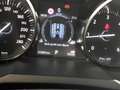 Land Rover Range Rover Evoque Evoque 2.0 TD4 4WD Blanc - thumbnail 5