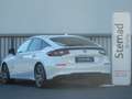 Honda Civic 2.0 i-MMD Hybrid Advance e-CVT Aut. Weiß - thumbnail 5