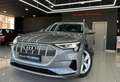 Audi e-tron 50 quattro Grigio - thumbnail 14