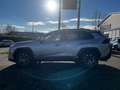 Toyota RAV 4 RAV4 Hybrid 4x2 Team Deutschland Argento - thumbnail 13