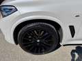 BMW X5 xDrive 30 d M Sport 22zoll Weiß - thumbnail 7
