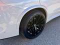 BMW X5 xDrive 30 d M Sport 22zoll Weiß - thumbnail 16