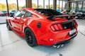Ford Mustang 3,7 DARKHORSE ANDROID ALU TOP Rot - thumbnail 5