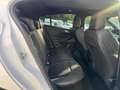 Ford Focus ST PERFORMANCE*RECARO*BA&OL*ACC*NAV*R-KAM Weiß - thumbnail 19