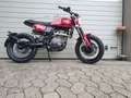 Skyteam Tracker 125cc Euro 5 NEU Modell 2023 Rot - thumbnail 11