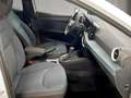 SEAT Ibiza Style 1.0 TSI DSG 115PS Weiß - thumbnail 16