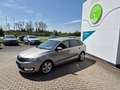 Skoda Rapid/Spaceback Spaceback Drive Beige - thumbnail 1