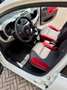 Fiat Panda III 1.2 Pop 69cv E6—- 5 POSTI !! Blanco - thumbnail 7