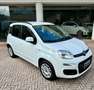 Fiat Panda III 1.2 Pop 69cv E6—- 5 POSTI !! Blanco - thumbnail 1