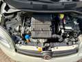 Fiat Panda III 1.2 Pop 69cv E6—- 5 POSTI !! Blanco - thumbnail 14