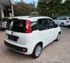Fiat Panda III 1.2 Pop 69cv E6—- 5 POSTI !! Blanco - thumbnail 4