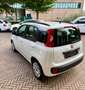 Fiat Panda III 1.2 Pop 69cv E6—- 5 POSTI !! Blanco - thumbnail 6
