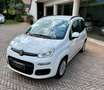 Fiat Panda III 1.2 Pop 69cv E6—- 5 POSTI !! Blanco - thumbnail 3