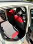 Fiat Panda III 1.2 Pop 69cv E6—- 5 POSTI !! Blanco - thumbnail 11