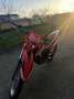 Beta RR Enduro - thumbnail 5