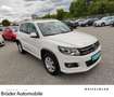 Volkswagen Tiguan Sport & Style BMT R-Line NEU TÜV Weiß - thumbnail 1