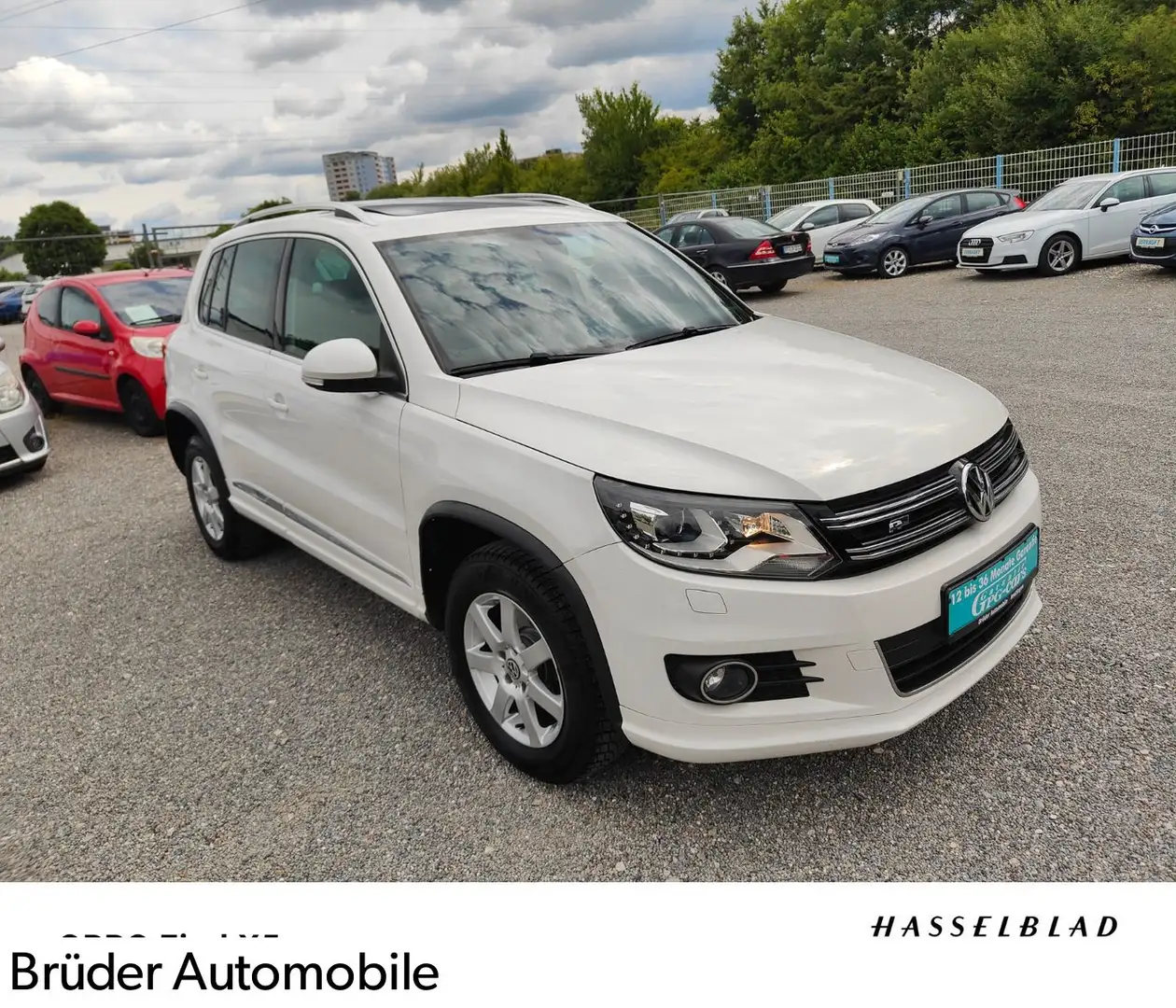 Volkswagen Tiguan Sport & Style BMT R-Line NEU TÜV Weiß - 1