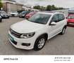 Volkswagen Tiguan Sport & Style BMT R-Line NEU TÜV Weiß - thumbnail 3