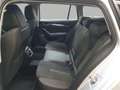 Skoda Octavia 4x4 SCOUT TDI DSG Silber - thumbnail 11