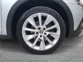 Skoda Octavia 4x4 SCOUT TDI DSG Silber - thumbnail 6