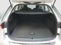 Skoda Octavia 4x4 SCOUT TDI DSG Silber - thumbnail 12