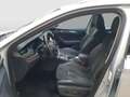 Skoda Octavia 4x4 SCOUT TDI DSG Silber - thumbnail 8