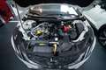 Nissan Qashqai 1.3 mhev Acenta 2wd 140cv Blanc - thumbnail 14