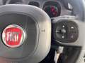 Fiat Panda Panda 1.0 firefly hybrid CROSS Blu/Azzurro - thumbnail 19