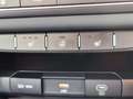Kia Ceed SW / cee'd SW Ceed Kombi Vision 140PS DCT Navi Kamera SHZ Klima Grau - thumbnail 31