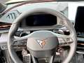 CUPRA Terramar 2.0 TSI 204 PS DSG 4Drive Grau - thumbnail 17
