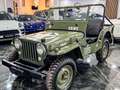 Jeep Willys Vert - thumbnail 16