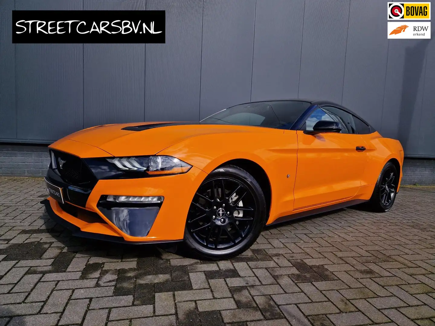 Ford Mustang USA 2.3ecoboost 310pk handbak! Zwart - 1