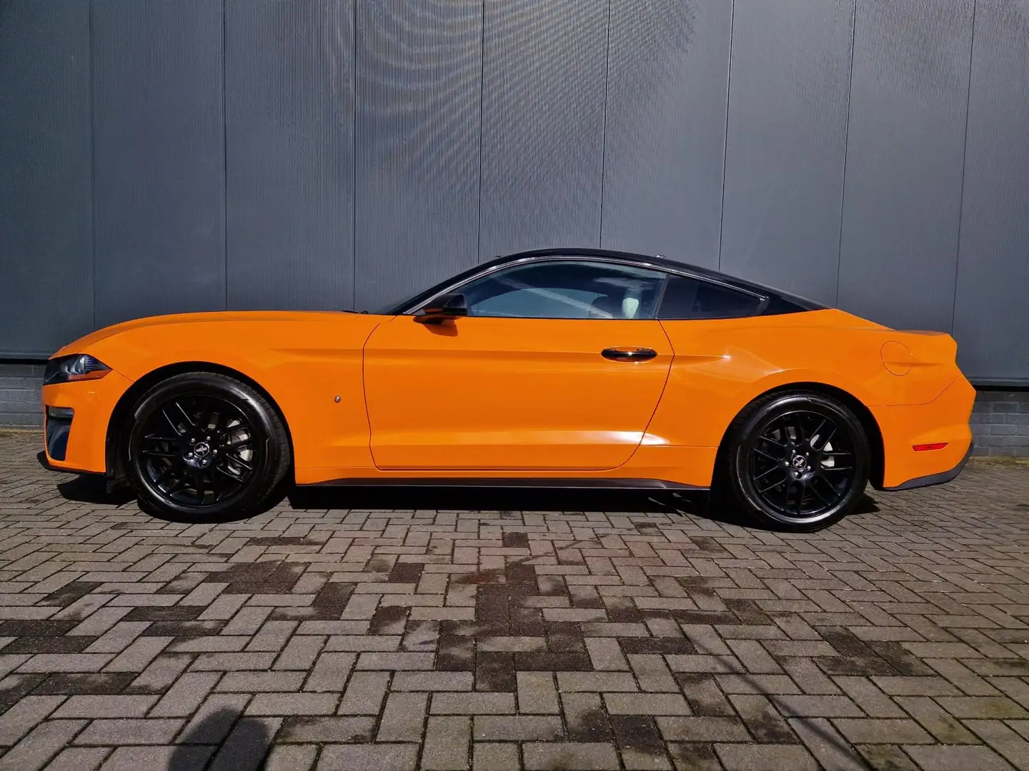 Ford Mustang USA 2.3ecoboost 310pk handbak! Zwart - 2