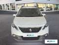 Peugeot 2008 PureTech 82 S&S 6 Vel. MAN Signature Blanco - thumbnail 2