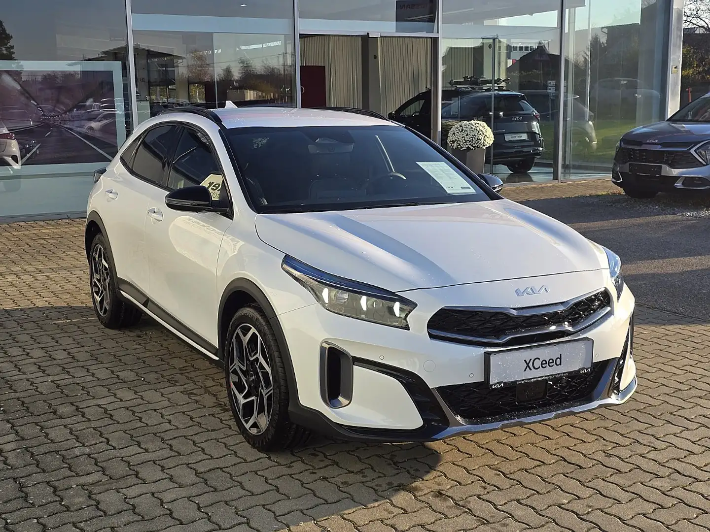 Kia XCeed Xceed 1,6 TGDI GPF GT-Line DCT Weiß - 2