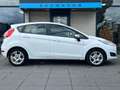 Ford Fiesta 1.0 EcoBoost Titanium Wit - thumbnail 7