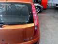 Fiat Punto 1.2 16v ELX Speedgear Naranja - thumbnail 22