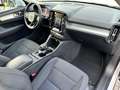 Volvo XC40 XC40 1.5 t3 Momentum Core 163cv auto my21 Grigio - thumbnail 11