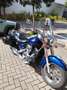 Kawasaki VN 900 Синій - thumbnail 10