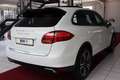 Porsche Cayenne S Hybrid Panorama LEDER*Scheckheft Weiß - thumbnail 6