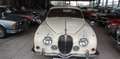 Jaguar MK II -at it´s best!!! bijela - thumbnail 1