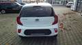 Kia Picanto 1.0 Edition 7 ISG 1.0 EU6 Edition 7 ISG Weiß - thumbnail 4